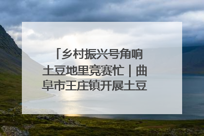 乡村振兴号角响 土豆地里竞赛忙｜曲阜市王庄镇开展土豆收获劳动竞赛